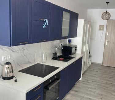 Zarnowska Apartment | Apartament 2B-4 Żarnowska