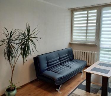 Bielawa Apartment | Apartament 59 , ranczoturystyka Bielawa Sudety