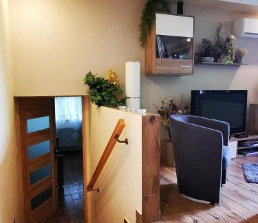 Bielsko-Biala Apartment | Apartament Aldi
