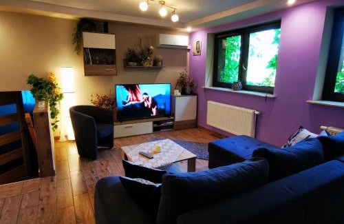 Bielsko-Biala Apartment | Apartament Aldi