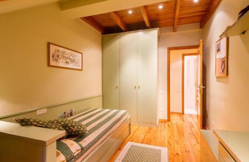 Vielha Apartment | Apartament Araneu