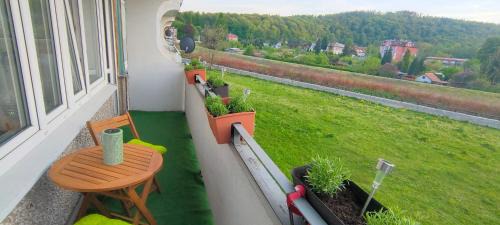 Głuchołazy Apartment | Apartament Bella Zdrój