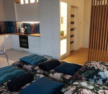 Charzykowy Apartment | Apartament Cień Wiatru z Widokiem na Jezioro i Netflixem
