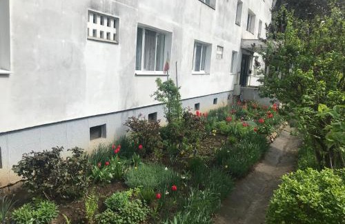 Cluj-Napoca Apartment | Apartament Colina