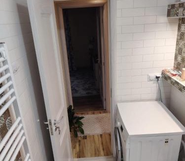 Tirgu Mures Apartment | Apartament Confort Dambul Pietros Targu-Mures