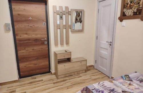 Tirgu Mures Apartment | Apartament Confort Dambul Pietros Targu-Mures