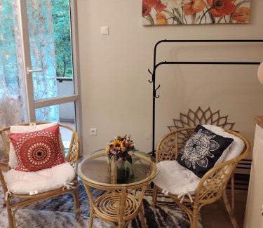 Tirgu Mures Apartment | Apartament Confort Dambul Pietros Targu-Mures