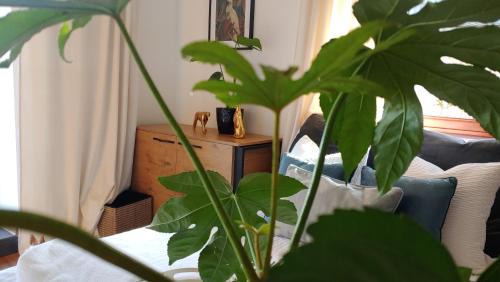Koscielisko Apartment | Apartament Dolce Vita Kościelisko Resort