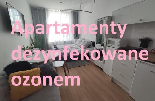 Elblag Apartment | Apartament Elbląg GoodEnergy - Stare Miasto, Oldtown, Altstadt
