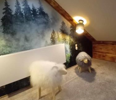 Brzegi Apartment | Apartament Góralski Duet 8-osobowy - apartament na wyłączność