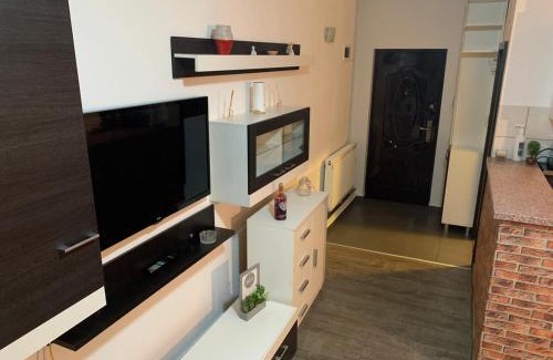 Timisoara Apartment | Apartament in regim hotelier