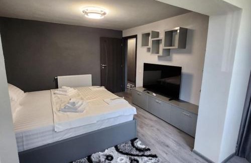Curtea De Arges Apartment | Apartament Iulius 3 camere