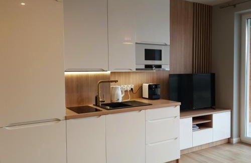 gmina odygowice Apartment | Apartament Laguna Beskidów - Zarzecze