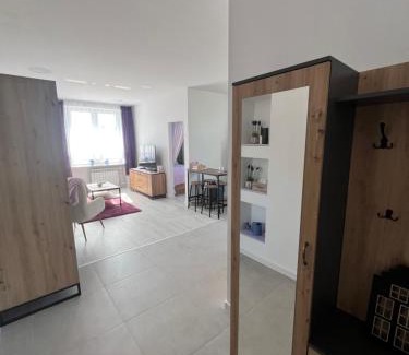 Skarzysko-Kamienna Apartment | Apartament Lawendowy