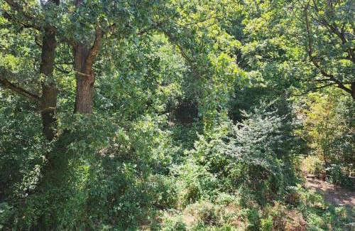 Pitesti Apartment | Apartament liniștit La Pădure