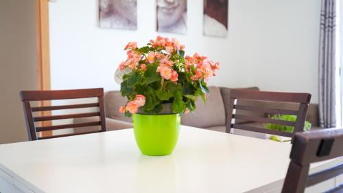 Sant Jaume d'Enveja Apartment | APARTAMENT LO COR DEL DELTA