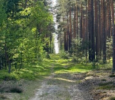 Swieradow-Zdroj Apartment | Apartament Loft- IzerSKI Resort