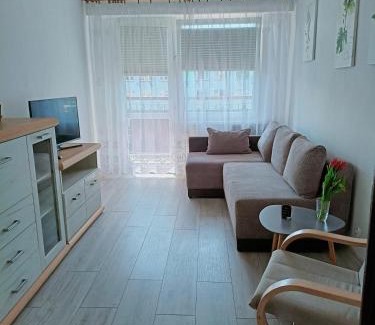 Olecko Apartment | Apartament Mazury