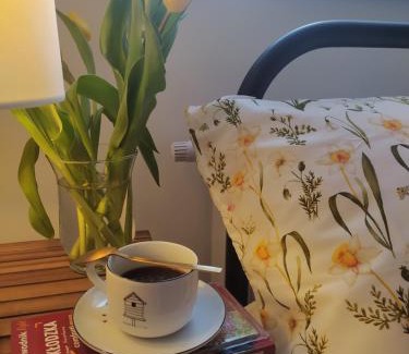 Miedzylesie Apartment | Apartament Miodownik