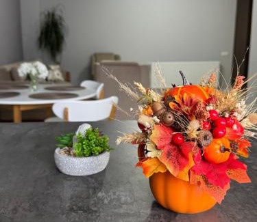 Ramnicu Valcea Apartment | Apartament modern 2 camere, Parcul Zăvoi