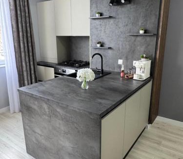 Ramnicu Valcea Apartment | Apartament modern 2 camere, Parcul Zăvoi