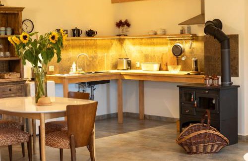Bialy Dunajec Apartment | Apartament na Podhalu - WILLA TRZY OGONY