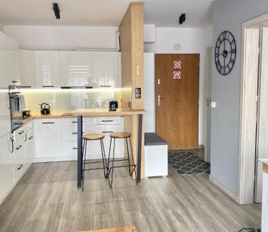 Cieszyn Apartment | Apartament na Skrzypka