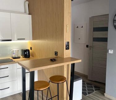Cieszyn Apartment | Apartament na Skrzypka