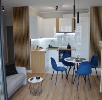 Torun Apartment | Apartament NATURIA-Blue