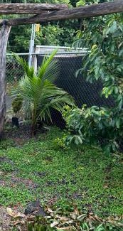 Garabito Apartment | Apartament near SJO Airport