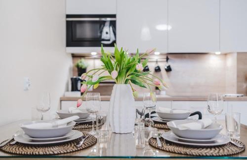 Torun Apartment | Apartament Niko