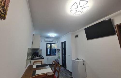 Ploiesti Apartment | Apartament Parc 1C