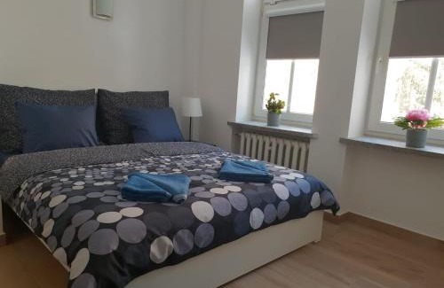 Duszniki Zdroj Apartment | Apartament Parkowy