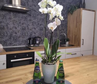 Bydgoszcz Apartment | Apartament Pod Orzechem