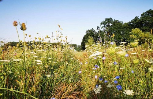 Izvoru Apartment | Apartament rustic Izvoru Cailor