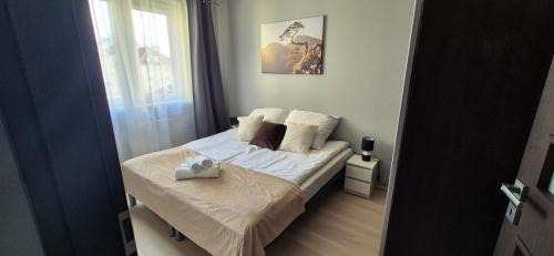 Gorzow Wielkopolski Apartment | APARTAMENT SORENTO 9