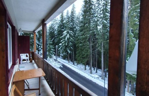 Paltinis Apartment | Apartament still Rustic Paltiniș Sibiu la 900 de metrii de partia Oncești