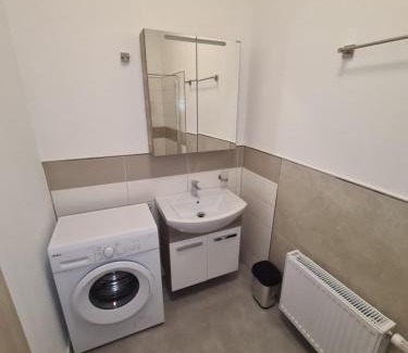 Bernburg Apartment | Apartament Suite 1