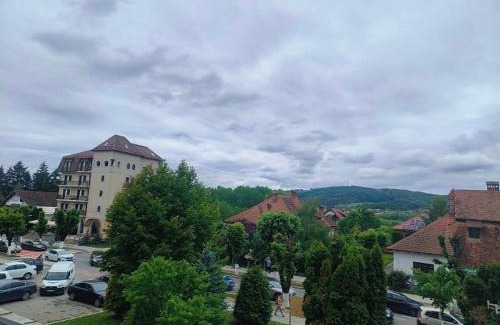 Curtea De Arges Apartment | Apartament Theodora