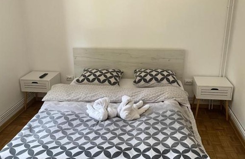 Pitesti Apartment | Apartament Ultracentral Modern 3 Pitesti