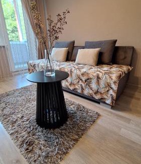 Klaipeda Apartment | Apartamentai su balkonu