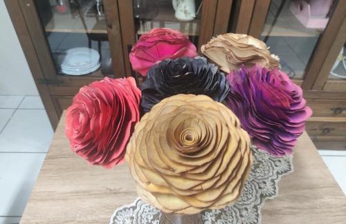 Maria Goretti Apartment | Apartamento Ótima Localização Turismo Faculdade