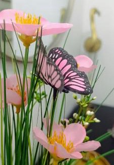 Figares Apartment | Apartamento Centro Ancha de Gracia