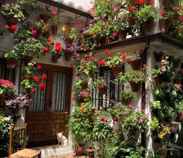 Distrito de Levante Apartment | Apartamento con parking privado gratis incluido