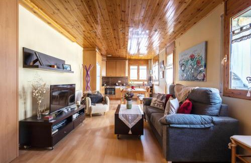 Vielha e Mijaran Apartment | Apartamento en Vielha