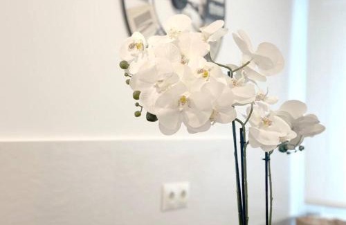 Santona Apartment | Apartamento reformado en Santoña