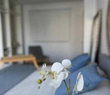 El Guincho Apartment | Apartamento Sueño del Drago