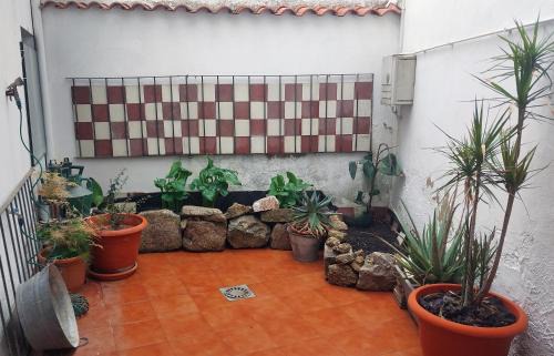 Merida Old Town Apartment | Apartamentos San Salvador Parking Gratis AT-BA-00338