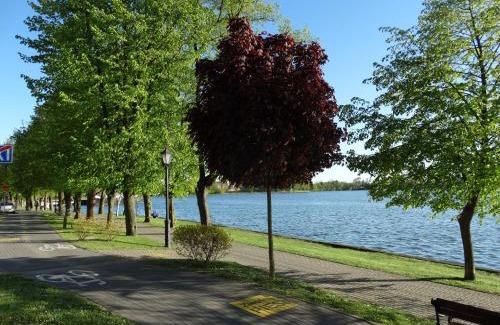 Elk Apartment | ApartamentPromenadaEłk