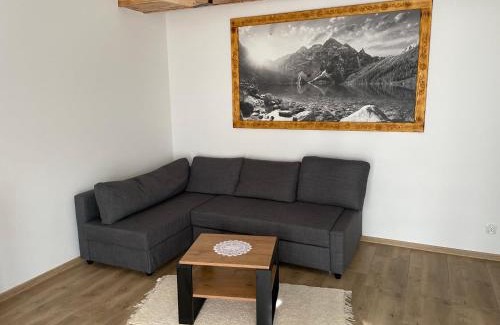 Bialy Dunajec Apartment | Apartamenty Aleksandra